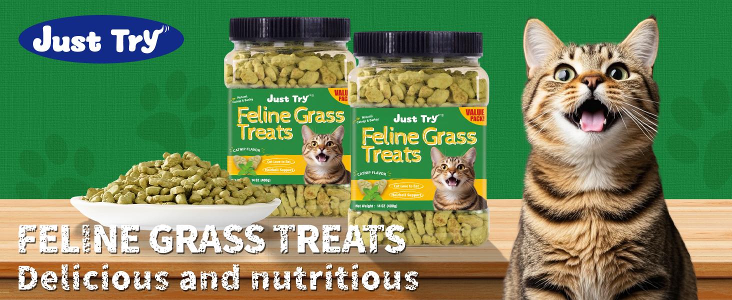 Hairball & Dental Care Salmon Treats for Cats