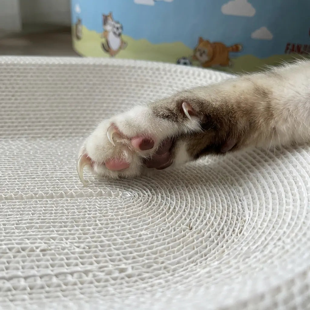 【Dealsforyoudays】 FANJUN-AMTECH 2-In-1 Cartoon Cat Scratcher Bed,Play & Rest Design, No Paper Scraps, Wear-Resistant, Anti-Overturning, High-Hardness Plant Fiber Corrugated Paper, Plastic-Free, Safe Eco-Friendly Cool Cat Supply,Summerwins