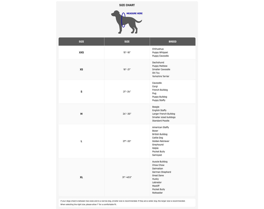 No-Pull Dog Harness — Comfortable, Secure & Adjustable for Calmer Walks