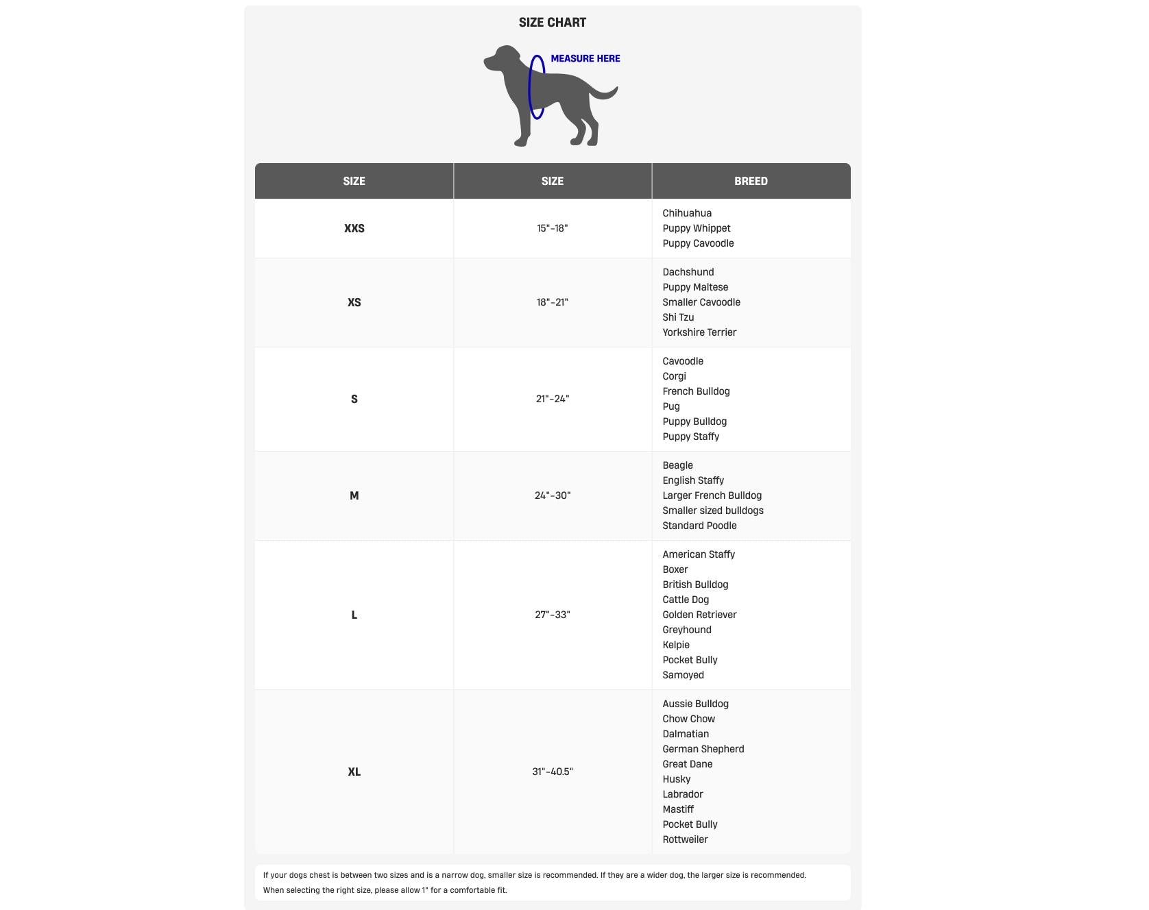 No-Pull Dog Harness — Comfortable, Secure & Adjustable for Calmer Walks