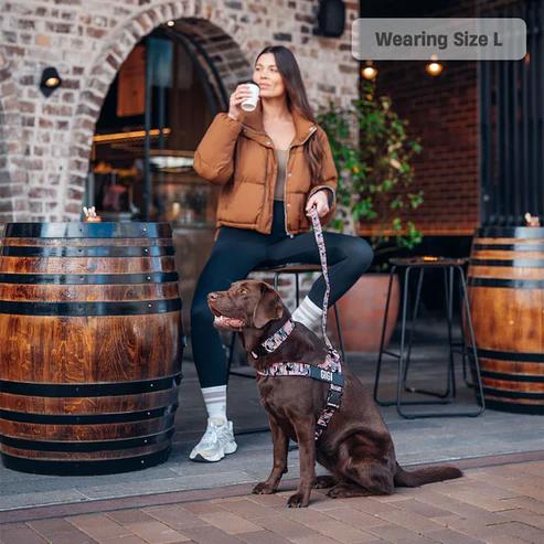 No-Pull Dog Harness — Comfortable, Secure & Adjustable for Calmer Walks